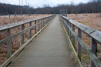 Black Fork Wetlands