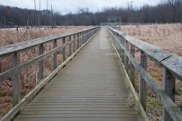 Black Fork Wetlands