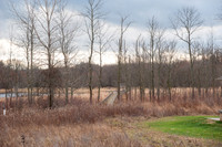 Black Fork Wetlands