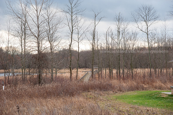 Black Fork Wetlands