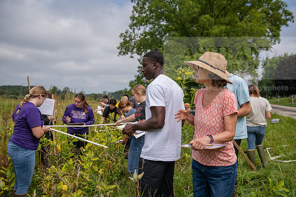 Biology_Saunders_BlackFork_Milkweed0923AWB_3654