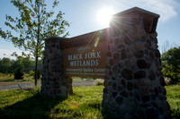 Black Fork Wetlands