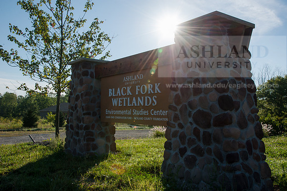 Black Fork Wetlands