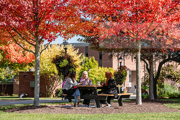 FallCampusLife1024AWB_5840