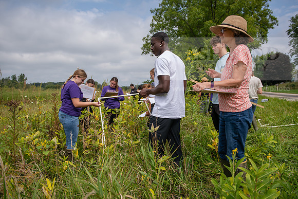 Biology_Saunders_BlackFork_Milkweed0923AWB_3656
