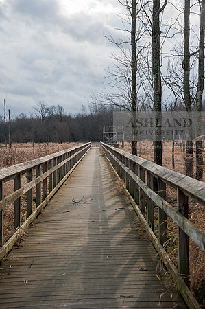 Black Fork Wetlands