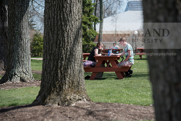 Spring Campus