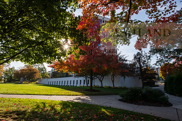 FallCampusLife1024AWB_5082
