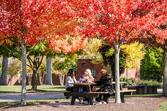 FallCampusLife1024AWB_5944