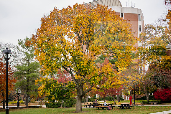 FallCampusLife1022ALW_1213