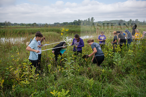 Biology_Saunders_BlackFork_Milkweed0923AWB_3563