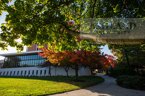 FallCampusLife1024AWB_5184
