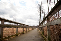 Black Fork Wetlands
