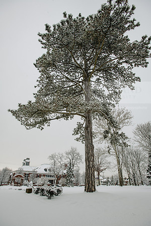 WinterCampusLife0123ALW_3218