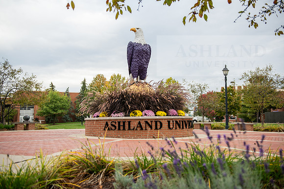 FallCampusLife1023AWB_1517