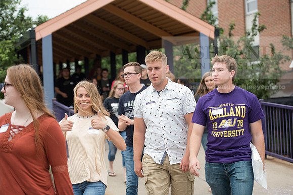 Orientation Number 2