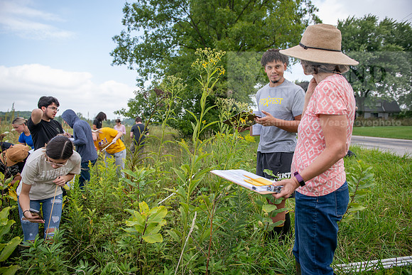 Biology_Saunders_BlackFork_Milkweed0923AWB_3536