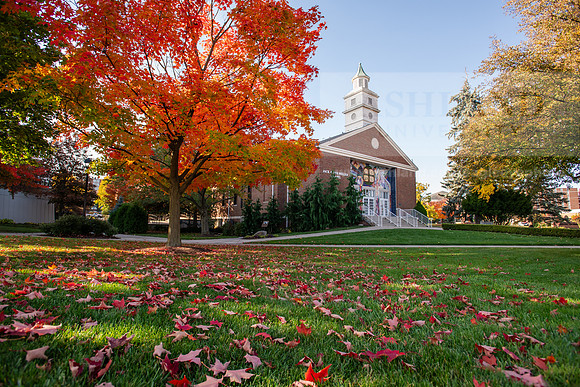 FallCampusLife1024AWB_5053