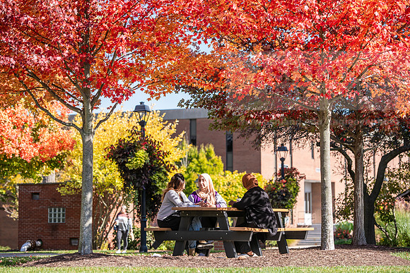 FallCampusLife1024AWB_5913