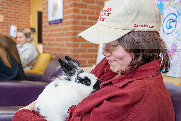 DestresswithAnimals0424MC__1305