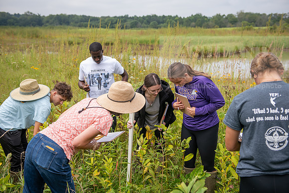 Biology_Saunders_BlackFork_Milkweed0923AWB_3487