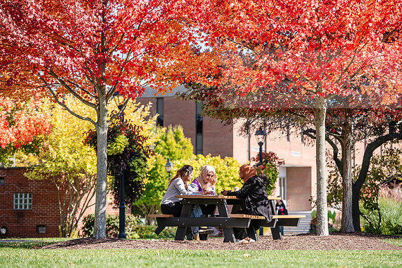 FallCampusLife1024AWB_5931