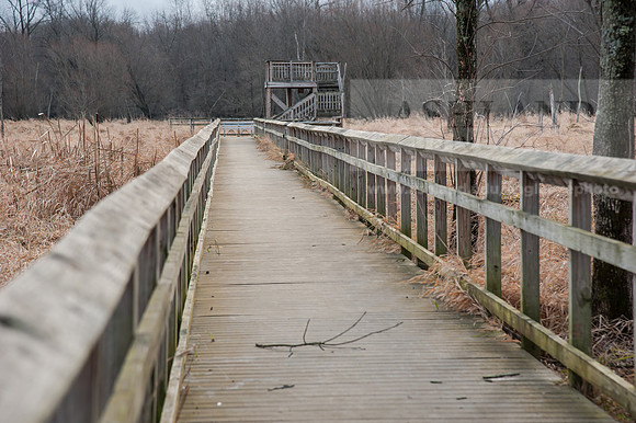 Black Fork Wetlands
