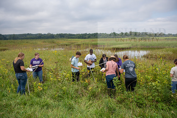Biology_Saunders_BlackFork_Milkweed0923AWB_3496
