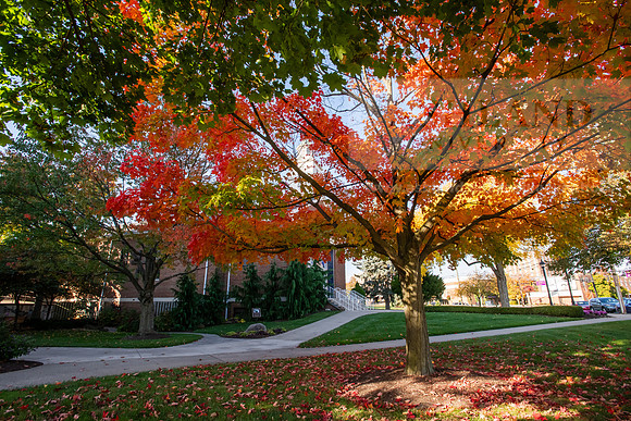 FallCampusLife1024AWB_5112