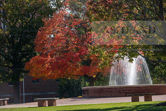 FallCampusLife1024AWB_5681