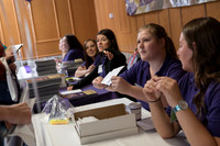 Orientation Number 2