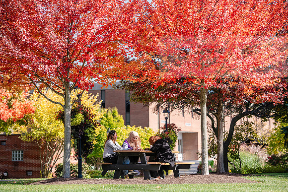 FallCampusLife1024AWB_5925