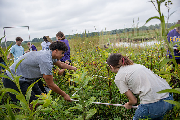 Biology_Saunders_BlackFork_Milkweed0923AWB_3569