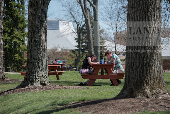 Spring Campus