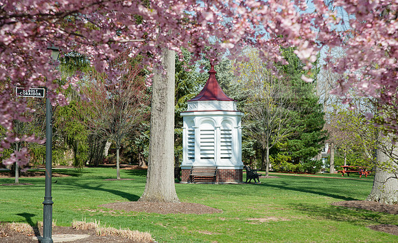 Miller Hall Cupola