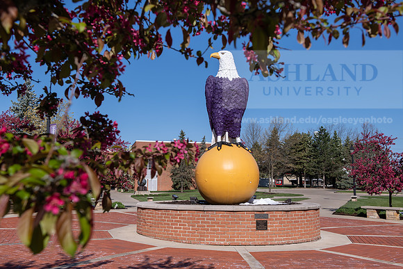 EagleOldAbeSpring0421ALW_7566