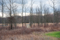Black Fork Wetlands