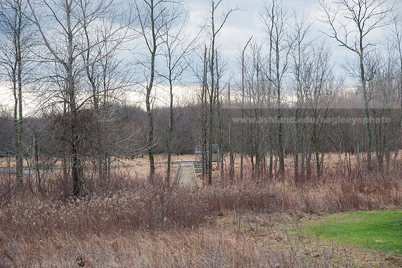 Black Fork Wetlands