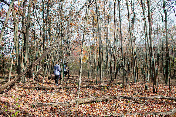 DeerExclosureBIOProject1024AWB_7393