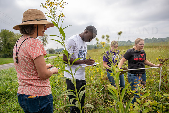 Biology_Saunders_BlackFork_Milkweed0923AWB_3606