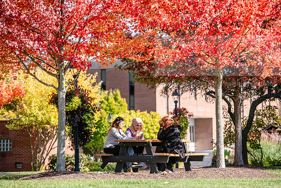 FallCampusLife1024AWB_5928