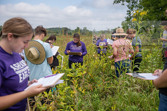 Biology_Saunders_BlackFork_Milkweed0923AWB_3505