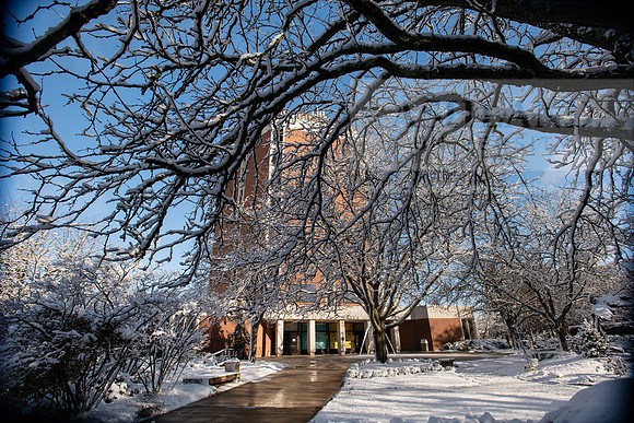 CampusSnow1119ALW_9877