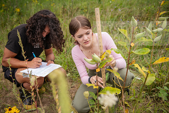 Biology_Saunders_BlackFork_Milkweed0923AWB_3720