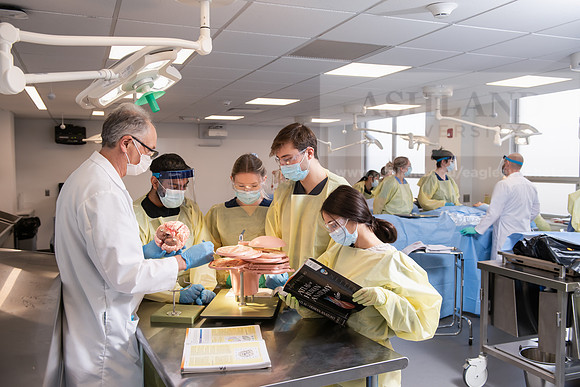 PAProgramCadaverLab1221ALW_4296