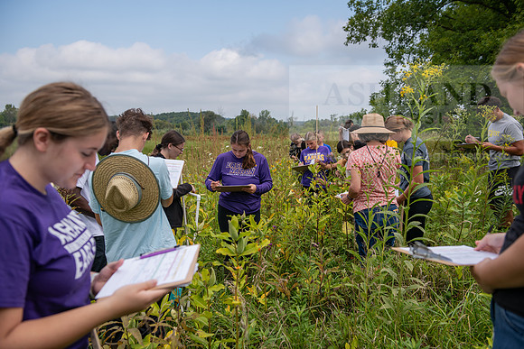 Biology_Saunders_BlackFork_Milkweed0923AWB_3503