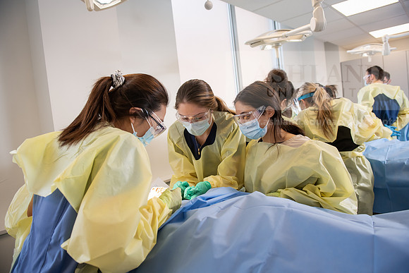 PAProgramCadaverLab1221ALW_4242