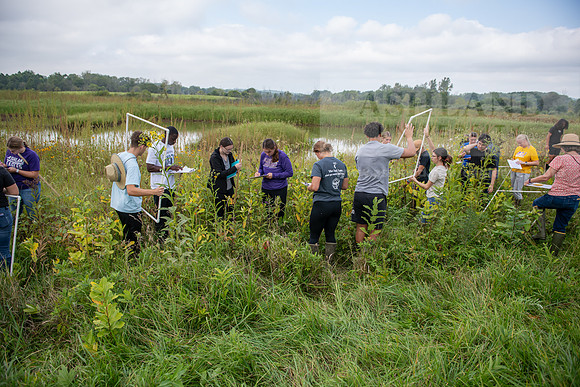 Biology_Saunders_BlackFork_Milkweed0923AWB_3565