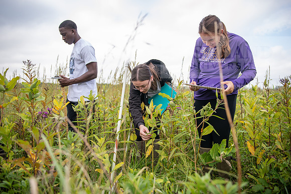 Biology_Saunders_BlackFork_Milkweed0923AWB_3548