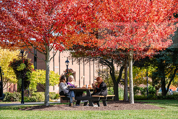 FallCampusLife1024AWB_5818